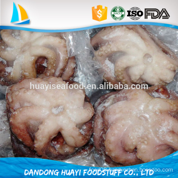 high quality frozen fresh best flower octopus